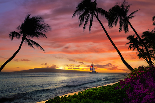 Featured image for “Find Your Hawaii Island Bliss and Escape to Paradise”