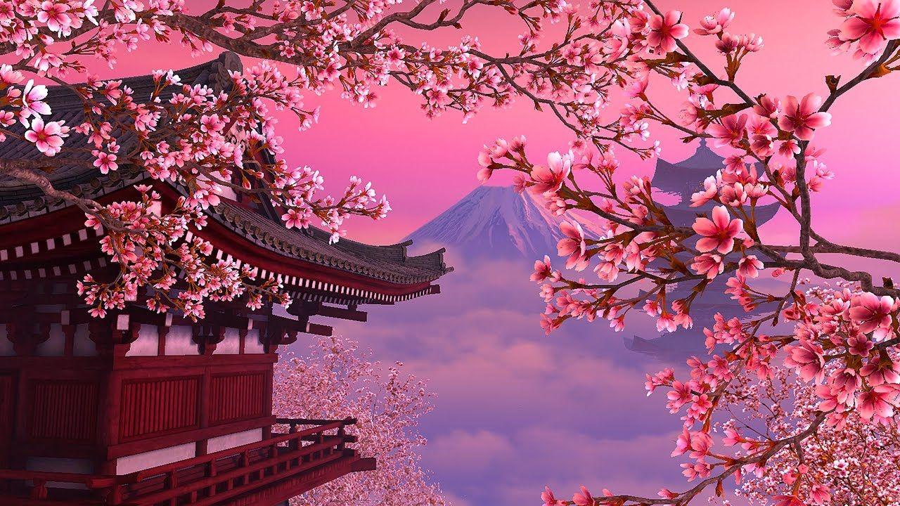 Featured image for “🌸 Japan 2027–2028: A Journey Through Timeless Beauty”